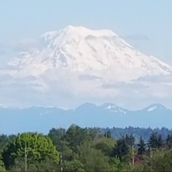 Hello Friends, welcome to Parkstone Lane - Picture 4 of 4